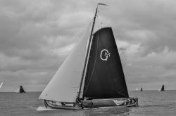 Regatta